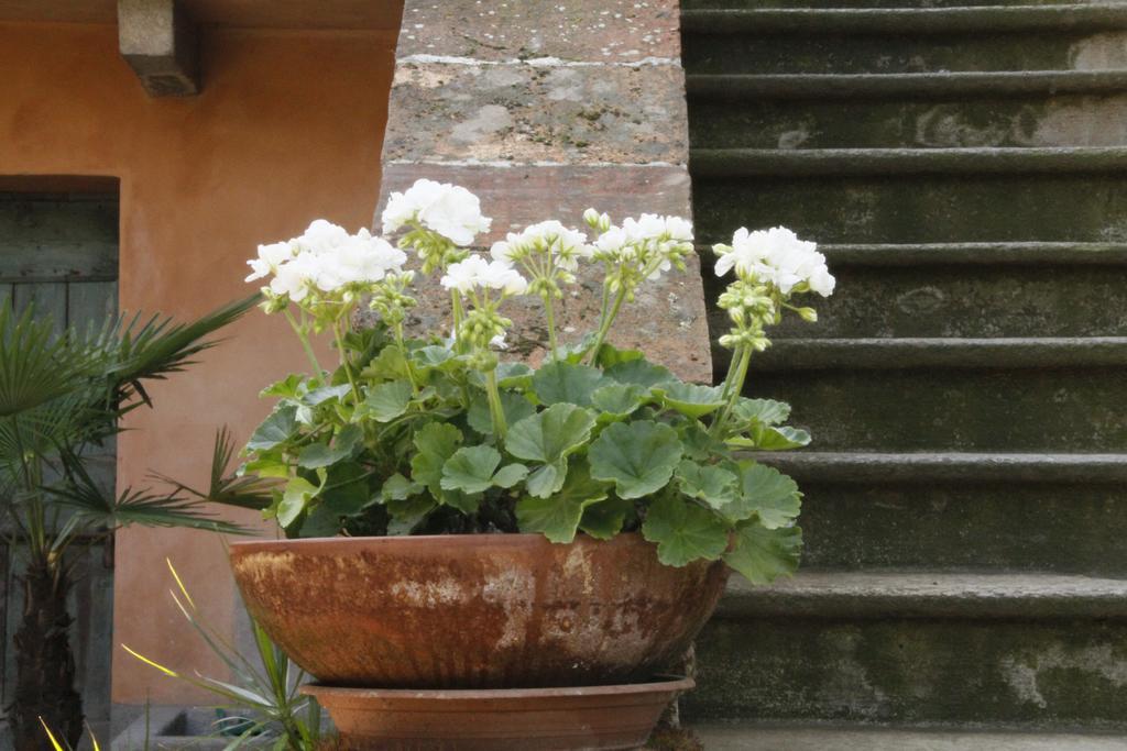 Borgo Archinto Apartment Robecco sul Naviglio Luaran gambar