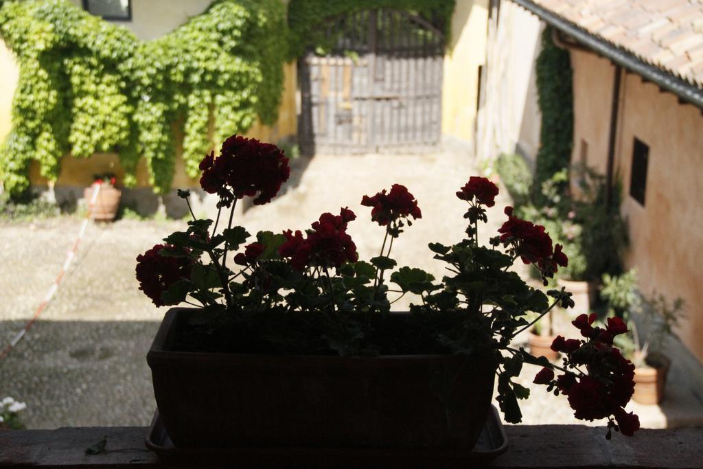 Borgo Archinto Apartment Robecco sul Naviglio Luaran gambar